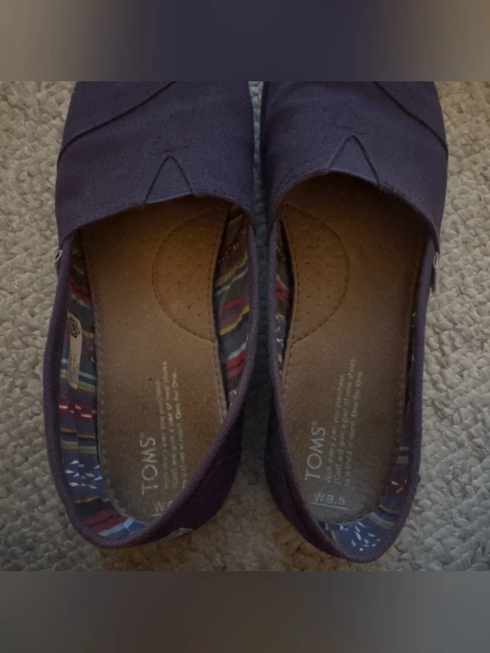 Toms Navy Canvas Slip-On with Multicolor Striped Lining